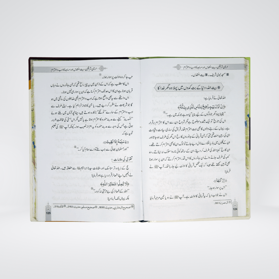 Additional product image for Adab Kis Ka Kyun Aur Kaisy