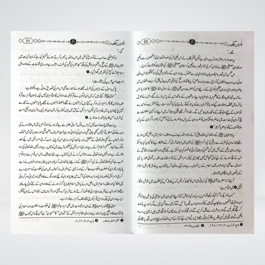 Ameen e Kaaba (Seerat) - Maktaba Quddusia 