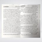 Dosti Aur Dushmani Urdu product view