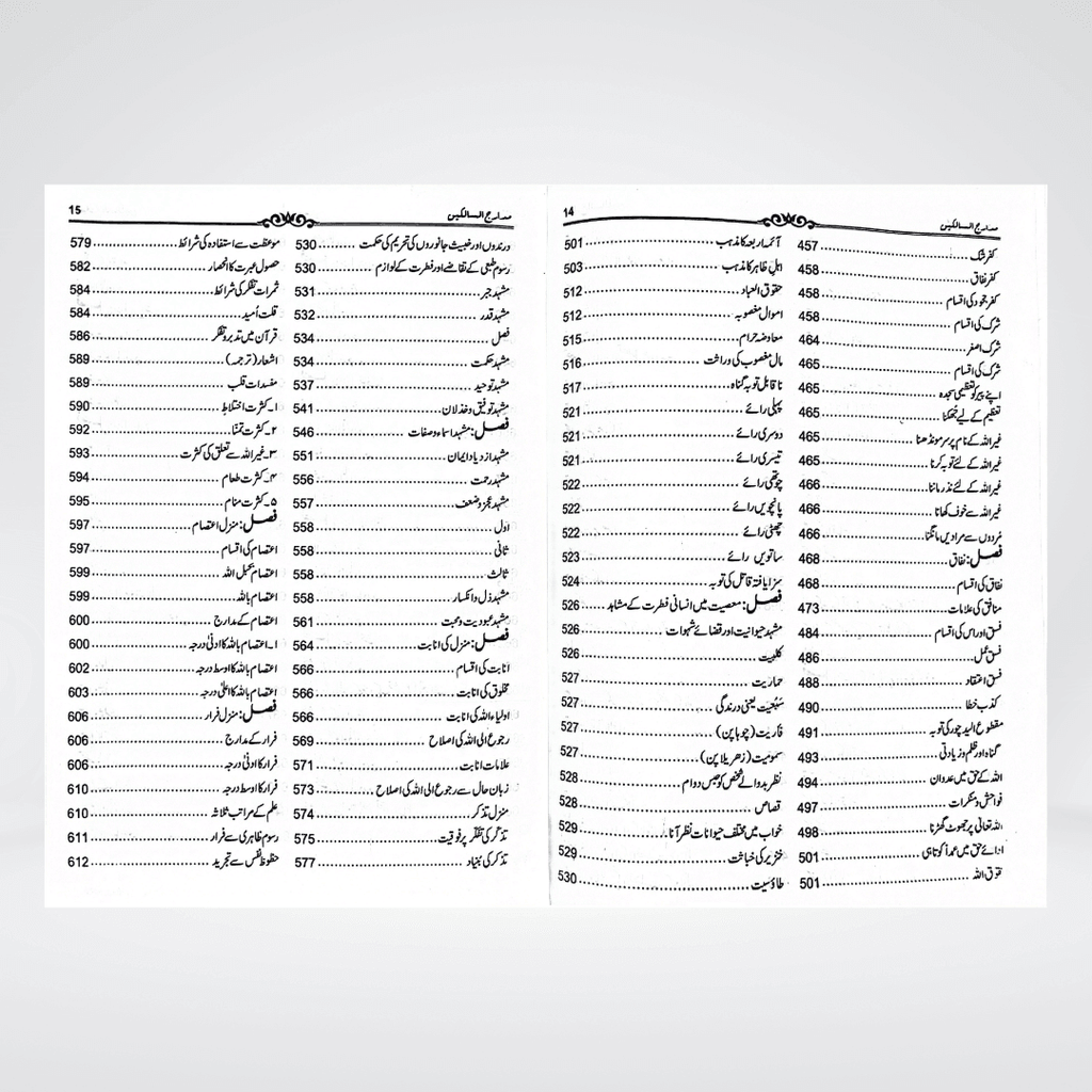 Madarij-us-Salikeen Volume 1 - Maktaba Quddusia 
