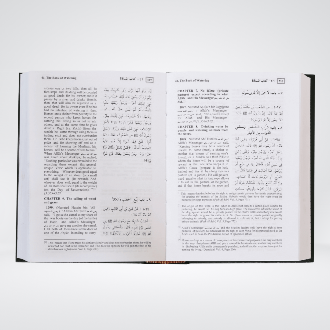 English Translation of the Meanings of Summarized Sahih Al-Bukhari additional book image 3