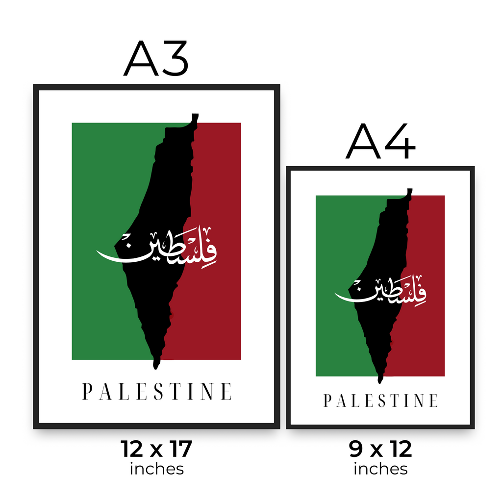 Palestine acrylic glass frame ready to hang wall art