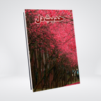 Hadees e Dil by Abu Yahya front cover