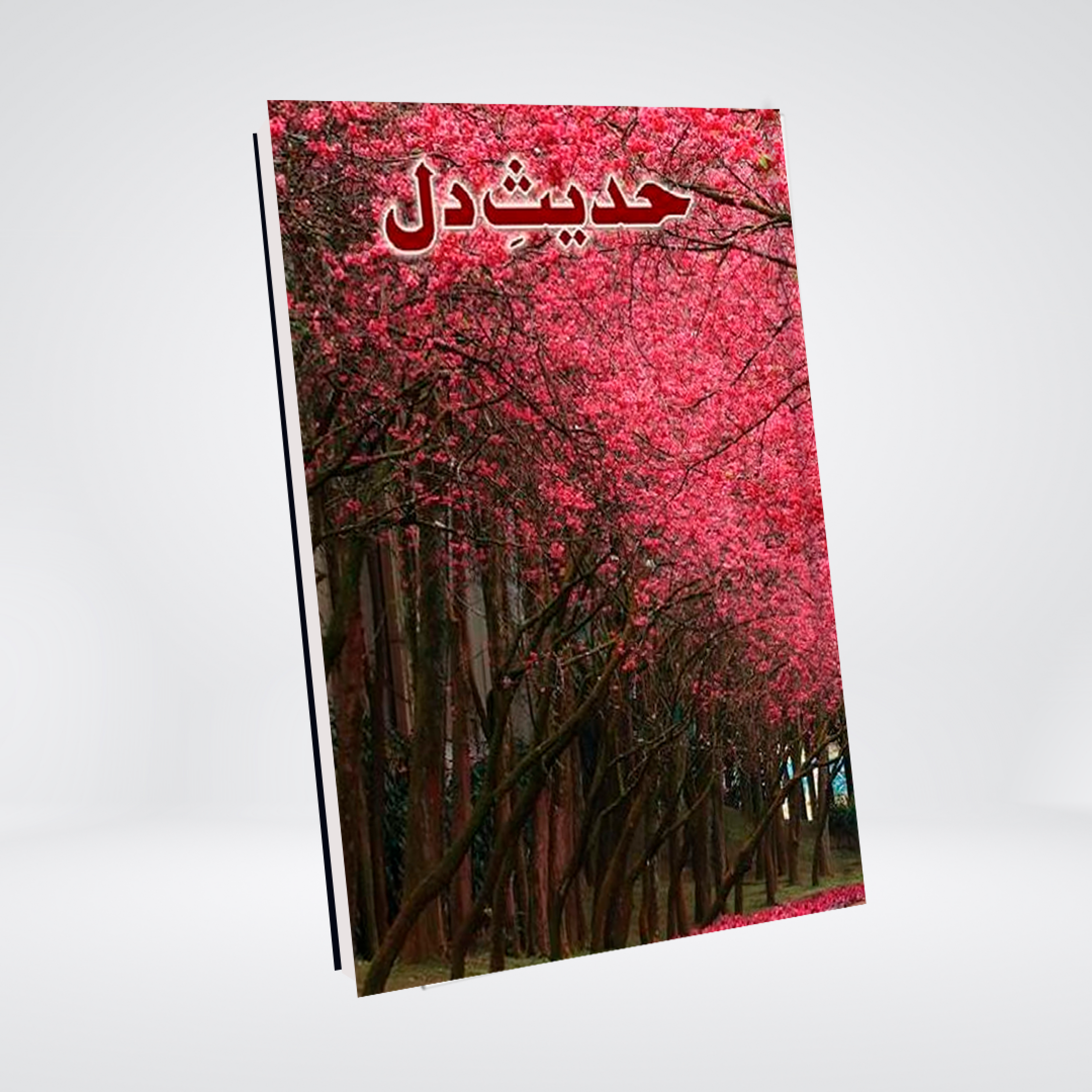 Hadees e Dil by Abu Yahya front cover