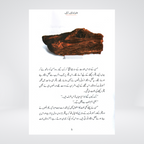 Inside pages of Holnak Aag Urdu children's story