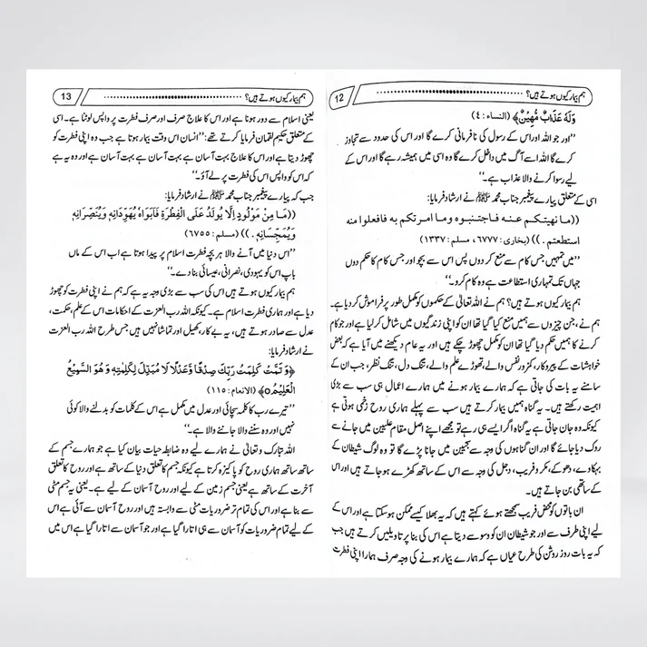 Hum Beemar Kyun Hotay Hain angled view showing clear Urdu typography