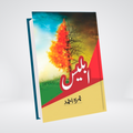Iblees Urdu novel by Nimra Ahmed front cover
