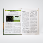 Islamic Studies Grade (vol 10) - Imported