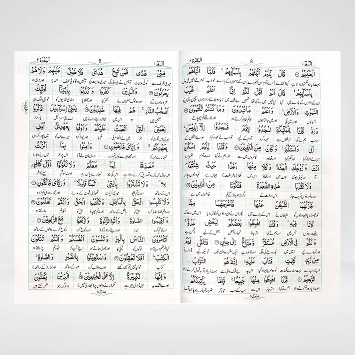 Mafhoom ul Furqan Gold | Word by Word Urdu Quran