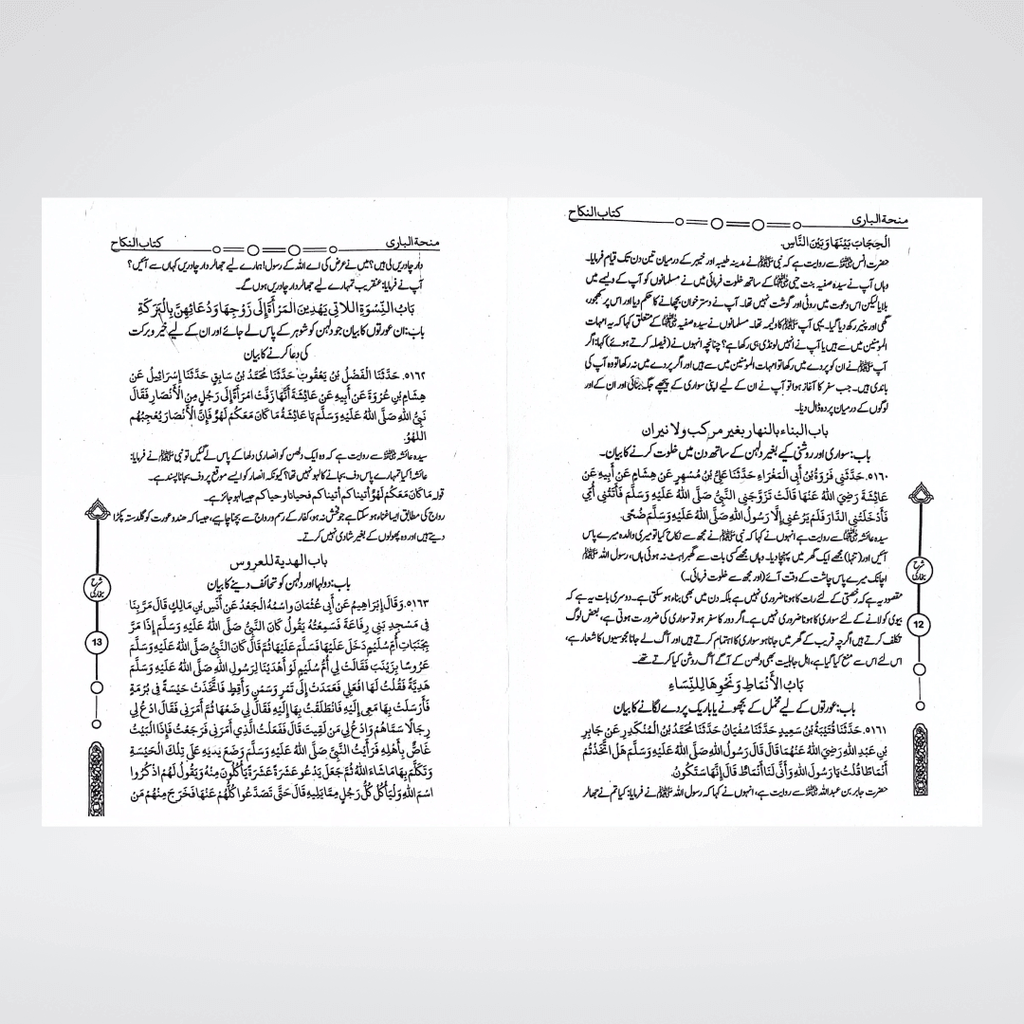 Minha-tul-Bari (12 Volumes) - Maktaba Quddusia 