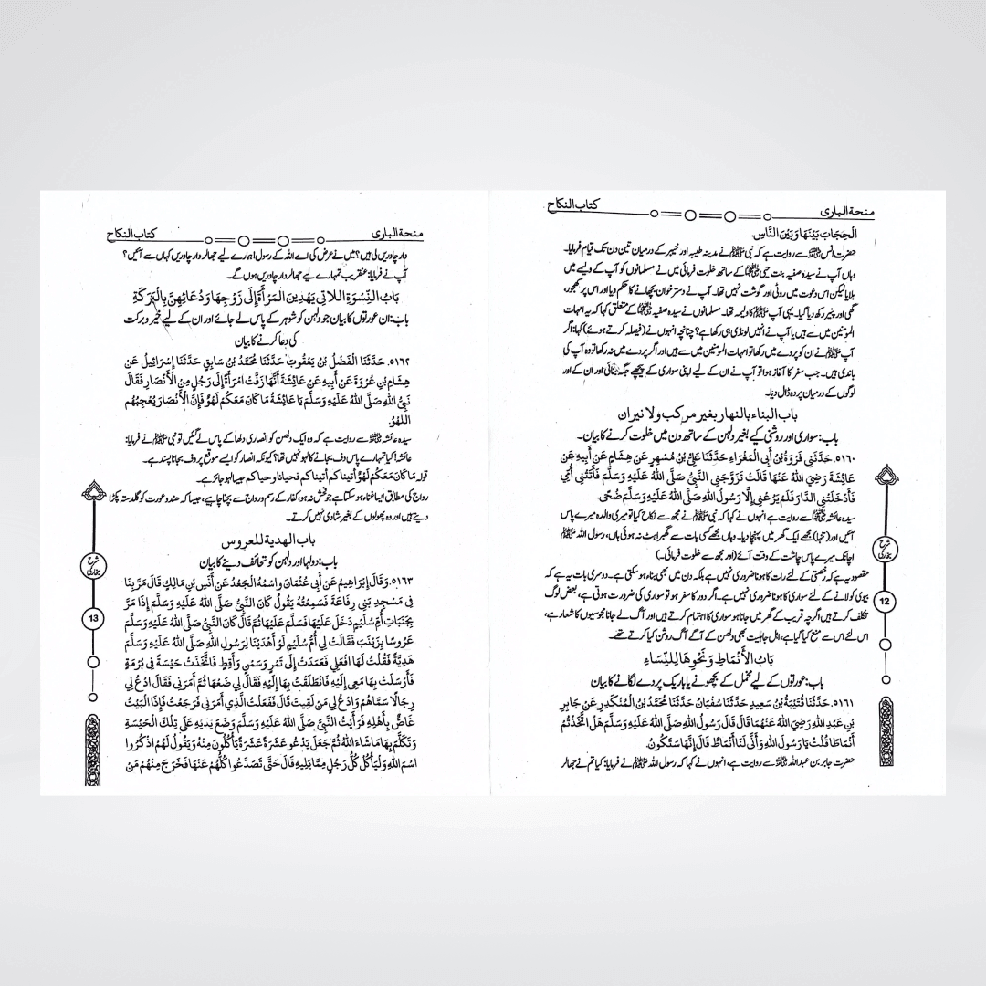 Minha-tul-Bari (12 Volumes) - Maktaba Quddusia 