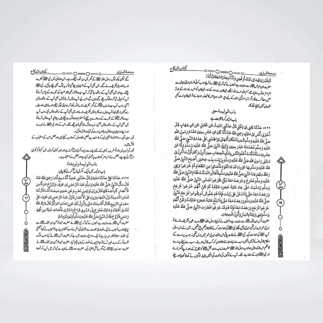Minha-tul-Bari (12 Volumes) - Maktaba Quddusia 