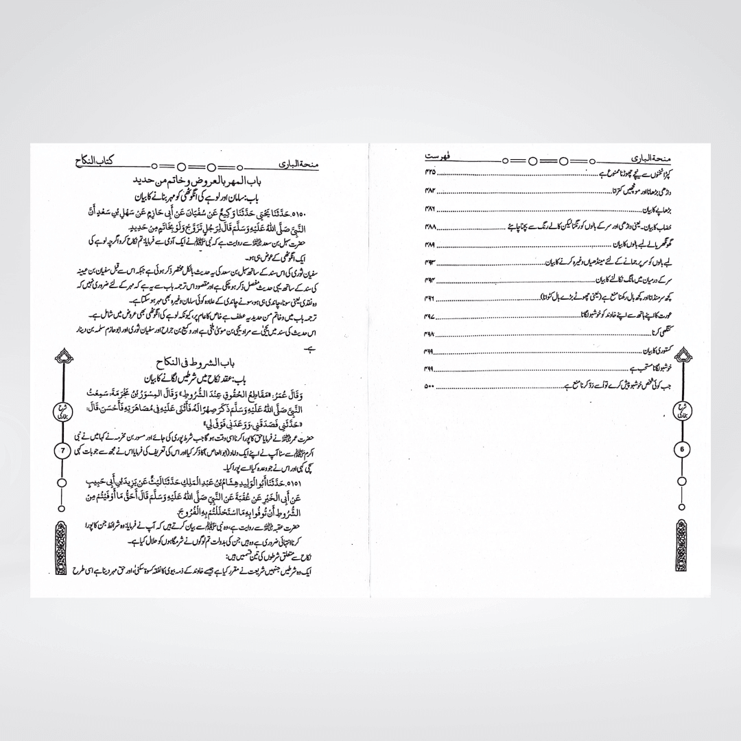 Minha-tul-Bari (12 Volumes) - Maktaba Quddusia 