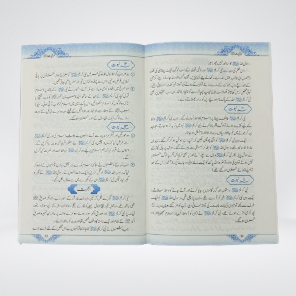 Mohar e Nabowat Seerah and Prophethood study pages