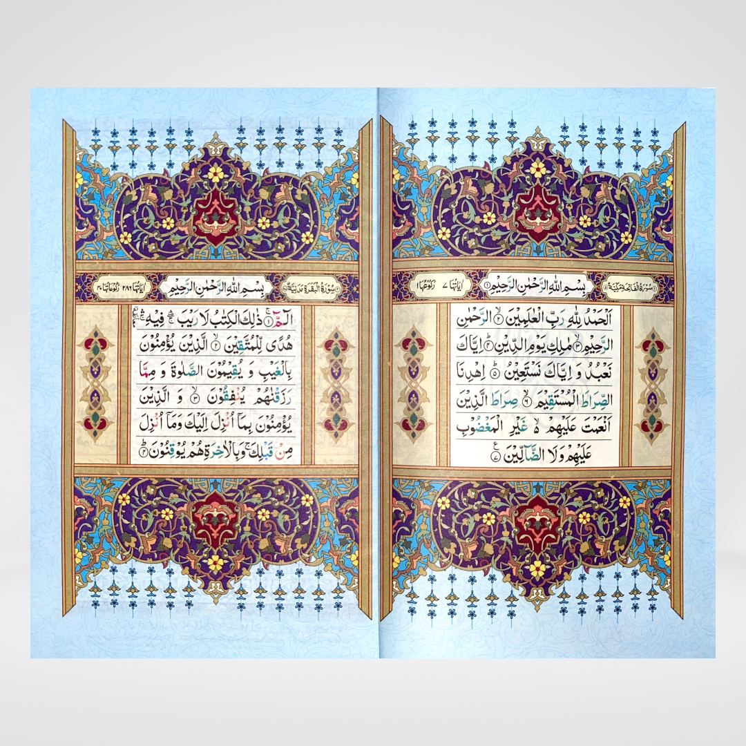 16 Lines Tajveedi Quran sample spread with color coded recitation markings