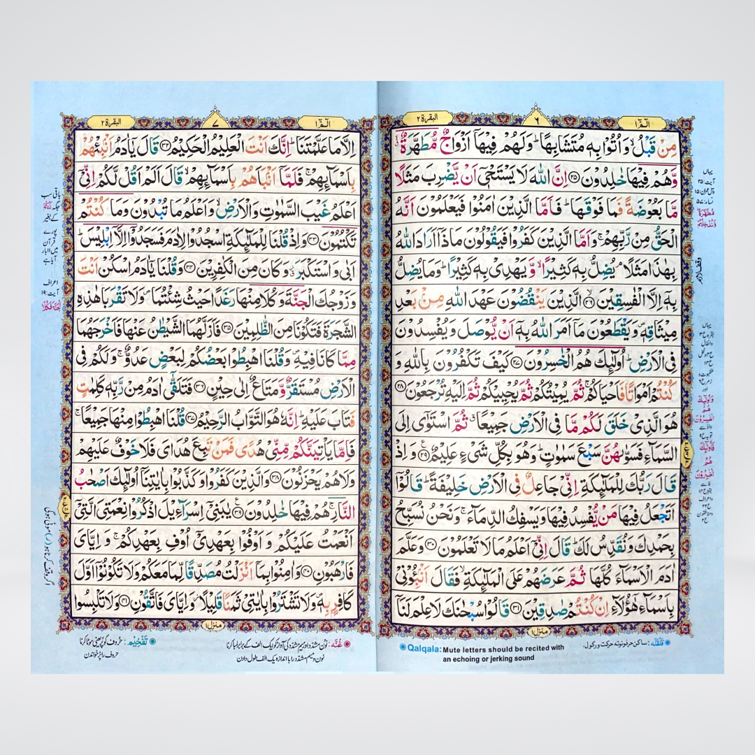 Tajveedi Quran offset paper product view for Hifz and daily recitation