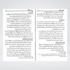 Rauf ur Raheem comprehensive Seerah book view