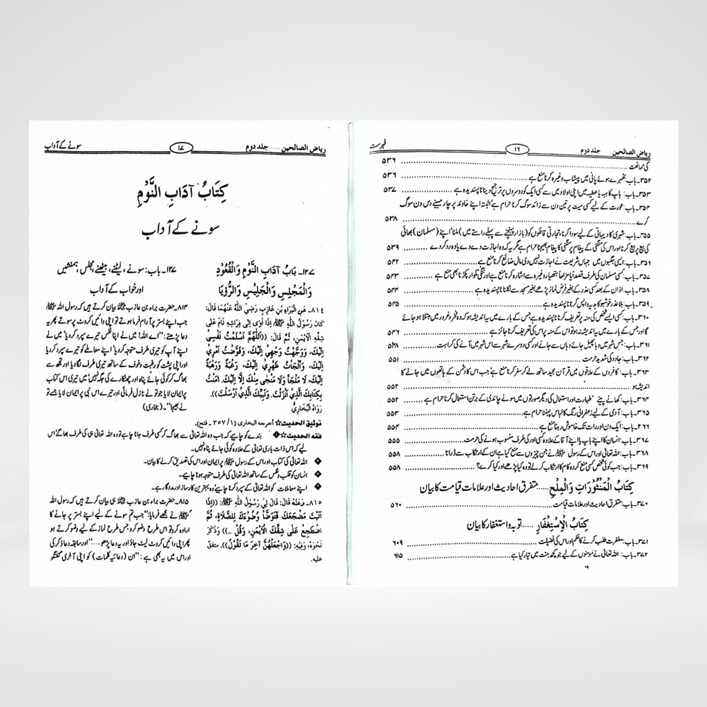Riyaz us Saliheen Urdu 2 volume set side view showing binding and paper quality