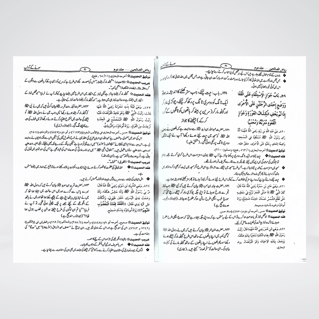 Riyaz us Saliheen Urdu stacked view of both volumes showing hardcover finish