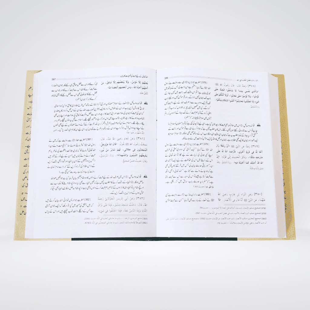 Riyaz us Saliheen Urdu imported Darrussalam edition open page showing Hadith chapter