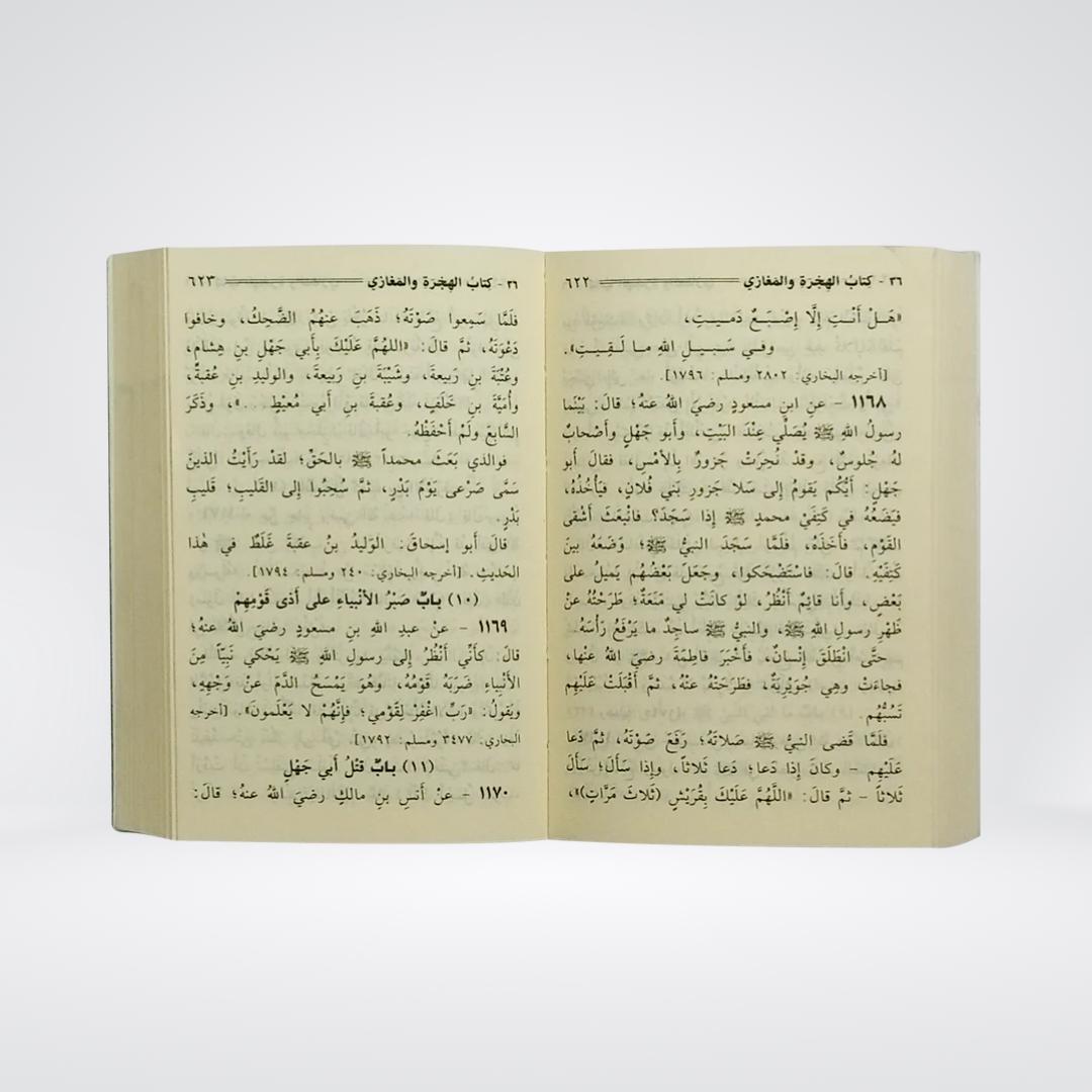Sahih Muslim (Volume 1) Arabic - Maktaba Quddusia 