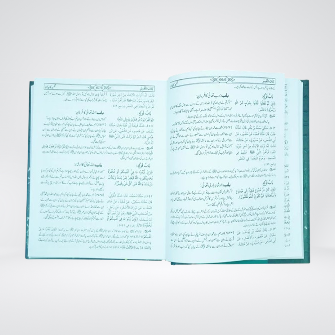 Sahih Bukhari additional book image 3