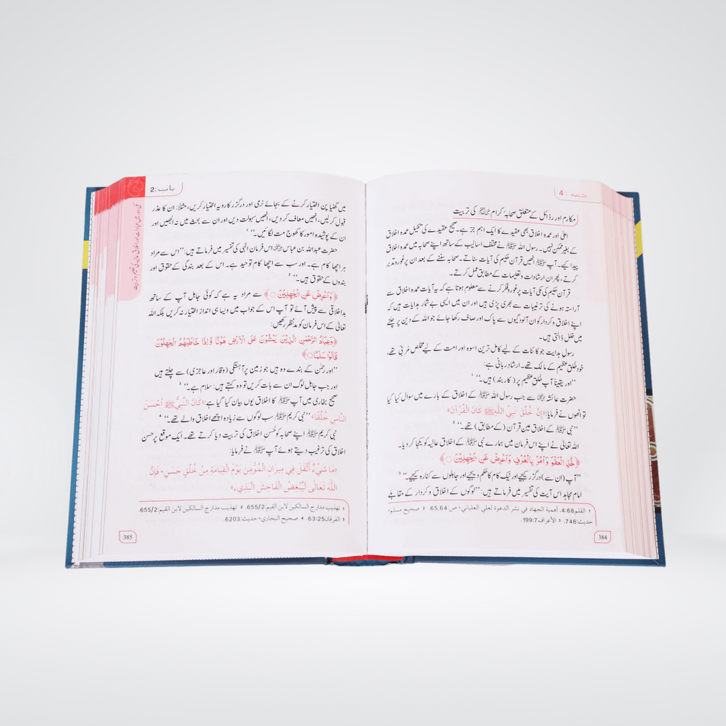 Seerat un Nabi (SAW) | Complete Set | 2 Volumes | Dr. Ali Sallabi - Maktaba Quddusia 