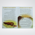 Silsila Ghazwat e Nabavi Darrussalam book set view