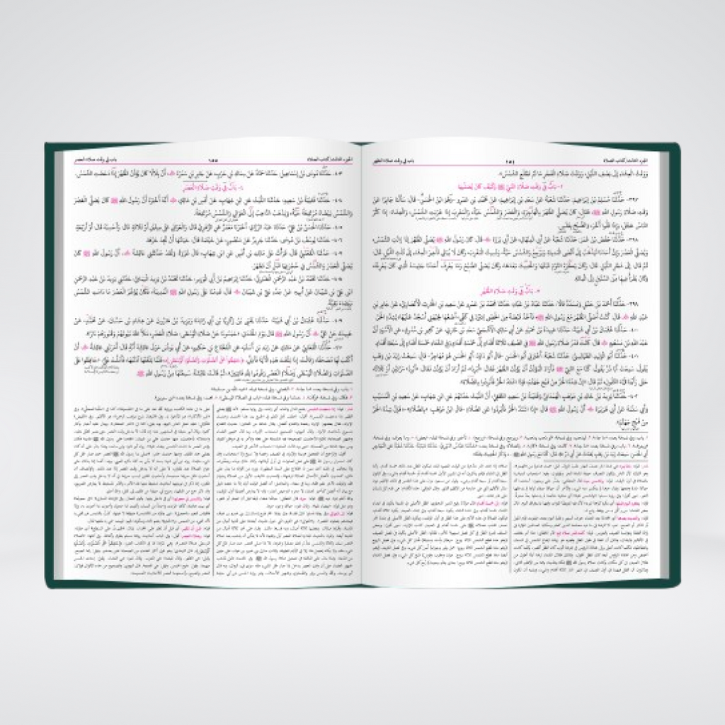 Sunan Abi Dawud | Arabic