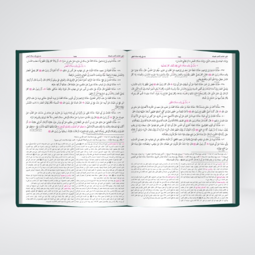 Sunan Abi Dawud | Arabic