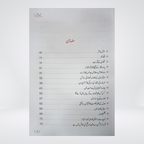 Back cover of Sunehray Naqoosh Darrussalam Urdu book