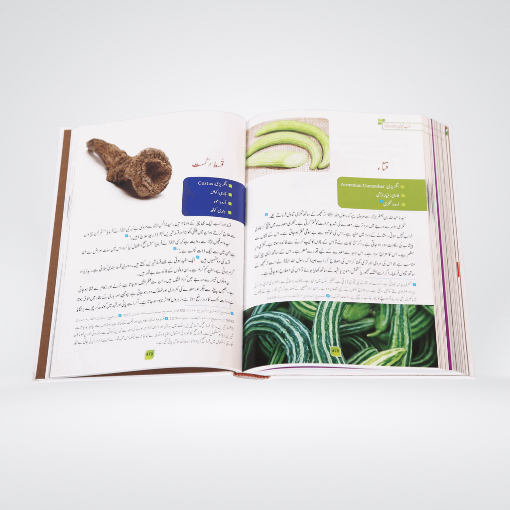 Tib e Nabvi colorful edition inside page view