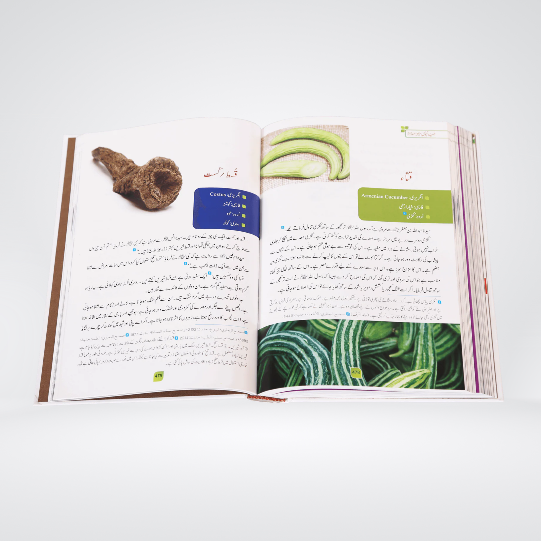 Tib e Nabvi | Colorful | Imam Ibne Qayyam - Maktaba Quddusia 