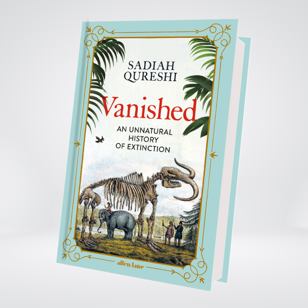 Vanished
