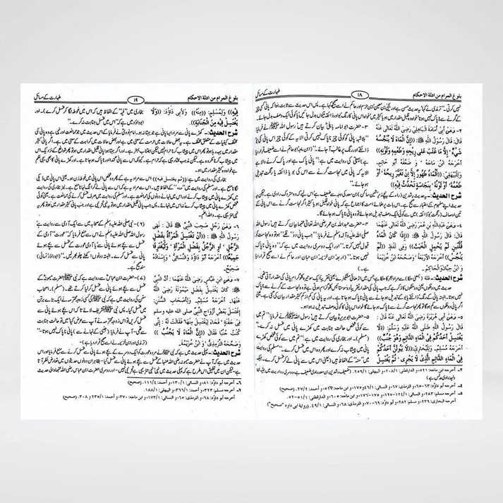 Bulugh al Maram Urdu sample spread showing Salah chapter Hadiths with Urdu translation